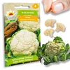 Odporny kalafior Tasty 1G Bora Podgląd zdjęcia produktu 5