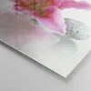 Bilder auf glas - Einteilig - Lilienblüte grün Pflanze - Produktbild-Vorschau 5