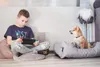BedDog Hundebett TEDDY Hundesofa waschbares Hundebett mit Produktbild-Vorschau 5