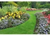 Bordure de Jardin Marron, Délimitation Gazon Flexible, 20cm Voir les images du produit 2