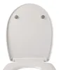 Sanitop-Wingenroth Sanitop Wingenroth WC-Sitz mit Produktbild-Vorschau 5