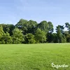 A wide shot of a lush green lawn with a dense line of trees in the background under a clear blue sky. Produktbild-Vorschau
