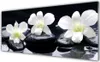 Acrylglasbilder 125x50 Wandbild Druck Blumen Steine Produktbild-Vorschau 1