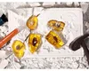 Ausgrabungen von Insektenfossilien in Bernstein, Produktbild-Vorschau 7