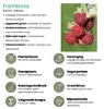 Plants by Frank | Fruchtparadies  Obstpflanzen Mix | Produktbild-Vorschau 10