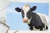 MuchoWow® Schreibtischunterlage Kuh - Tiere - Porträt - Produktbild-Vorschau 5