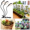 A collage of images showing a plant grow light, a balcony garden, and potted succulents. Náhľad obrázku produktu