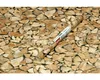 d-c-fix 346-0493, Vyjímatelná, Dřevo, 2000 mm, 450 mm Náhled obrázku produktu 3