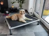 A dog is lying on a raised dog bed in a modern living room with large windows. Produktbild-Vorschau