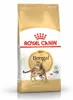 Royal Canin Bengal Adult, Dorosły, Bengalski, Drób, Podgląd zdjęcia produktu 11