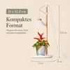 LED-plantlamp voor kruidentuin, gemaakt van echt hout, 9W, Productafbeelding-voorbeeld 6