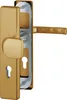 A close-up view of a gold-colored door handle set with visible keyholes and internal mechanism. Náhled obrázku produktu