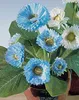 artplants.de Künstliche Gänseblümchen Morgana, Produktbild-Vorschau 3