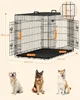 Gabbia per cani FEANDREA, box per cani, pieghevole, 122 x Anteprima dell’immagine prodotto 2