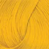 La Riché Directions Sun Flower Colour Booster Conditioner Produktbild-Vorschau 7