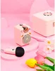 DIVOOM Fairy-OK BT Lautsprecher mit Mikro pink Produktbild-Vorschau 6