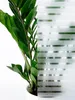 Selbsthaftend Fensterfolie 67x150 cm - Kristallstreifen - Produktbild-Vorschau 9
