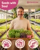 ZenGreens® Eko Nasiona na Kiełki Rzodkiewka 200 g – Kiełki Podgląd zdjęcia produktu 2