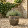 Teramico Vaso da fiori marrone "Bavaria Tall" Ø 37 cm Anteprima dell’immagine prodotto 8
