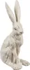 Clayre & Eef Dekorationsfigur Kaninchen 8x5x13 cm Weiß Produktbild-Vorschau 2