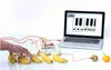 Makey Makey Classic, kit elettronico, elettricità, 8 anni, Anteprima dell’immagine prodotto 3