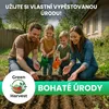 Green Harvest Sada semen zeleniny 20 druhů, 20 sáčků, Náhled obrázku produktu 3
