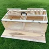 Transportkorb Transportkiste Transportbox für Tauben Produktbild-Vorschau 9