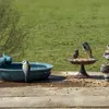 Abreuvoir pour oiseaux en terre cuite Voir les images du produit 2