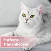 Felisept Augenpflege-Pads für Katzen 100 Stück Produktbild-Vorschau 2