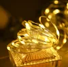 A close-up of a string of warm white LED lights coiled around a clear glass object. Náhled obrázku produktu