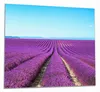 Wallario Herdabdeckplatte aus Glas, Größe 60 x 52 cm Produktbild-Vorschau 1