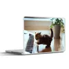 MuchoWow® Laptop Aufkleber Sticker Cover Katze - Tier - Produktbild-Vorschau 1