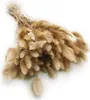 Getrocknete Hasenschwanzgras - (Lagurus) - Natur Produktbild-Vorschau 1