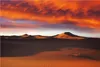 Wallario Poster - Sahara Wüste II - Sanddünen im Produktbild-Vorschau 1