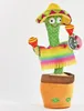 Kögler tanzender Kaktus Sombrero & Rasseln Sound & Produktbild-Vorschau 7