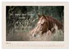Pferdepoesie - Augenblicke voller Seele (Wandkalender 2027 Produktbild-Vorschau 10