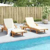 VidaXL 3206367, Lounge, Gepolsterter Sitz, Akazienholz, Produktbild-Vorschau 2
