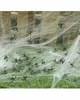 Schwarze Mini Spinnen im Beutel 50 St. für gruselige Produktbild-Vorschau 1