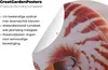 MuchoWow® Produktbild-Vorschau 4