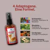 Energie Adaptogen Spray | Cordyceps, Ginseng, Rosenwurz & Produktbild-Vorschau 4