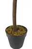 Großer künstlicher Olivenbaum Premium 185 cm Echtholzstamm Produktbild-Vorschau 3