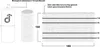 Diagram showing a roll of bamboo screening with dimensions and labels. Produktbild-Vorschau