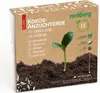 Romberg CLASSIC POP UP Anzuchterde komprimiert - 1 Liter Produktbild-Vorschau 9