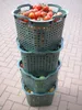 5x Panier de récolte Panier à pommes de terre Panier de Voir les images du produit 10