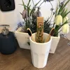 EKNA Holz Zahnbürste - Bambus Zahnbürste - Zahnbürste - 4er Produktbild-Vorschau 2