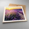 Gerahmtes Poster - Rahmen in heller Eiche - Feld Lavendel Produktbild-Vorschau 3