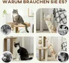 A collage of four images showing cats interacting with cat trees and scratching posts. Anteprima dell’immagine prodotto