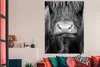 MuchoWow® Poster Schottischer Highlander - Haare - Tiere Produktbild-Vorschau 3