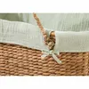 Panier à linge Geuther - menthe Voir les images du produit 5
