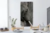 MuchoWow® Wandtattoo Wandsticker Wandaufkleber Elefant - Produktbild-Vorschau 2